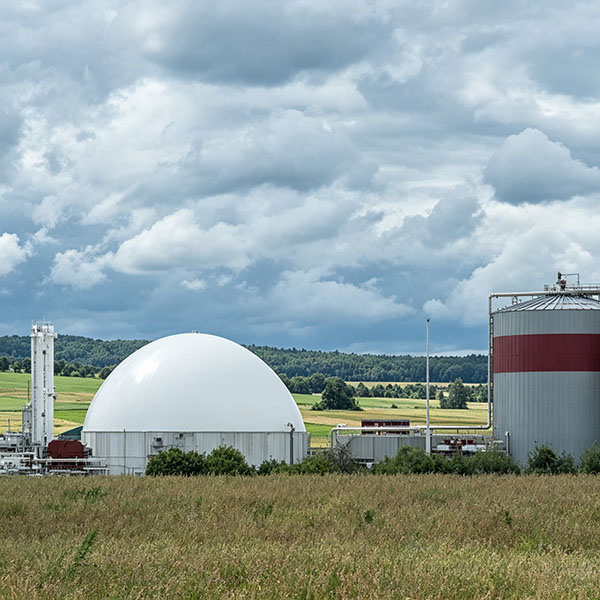 Biogas projects