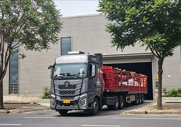 The automatic palletizing production line in Manas, Xinjiang has been successfully dispatched.